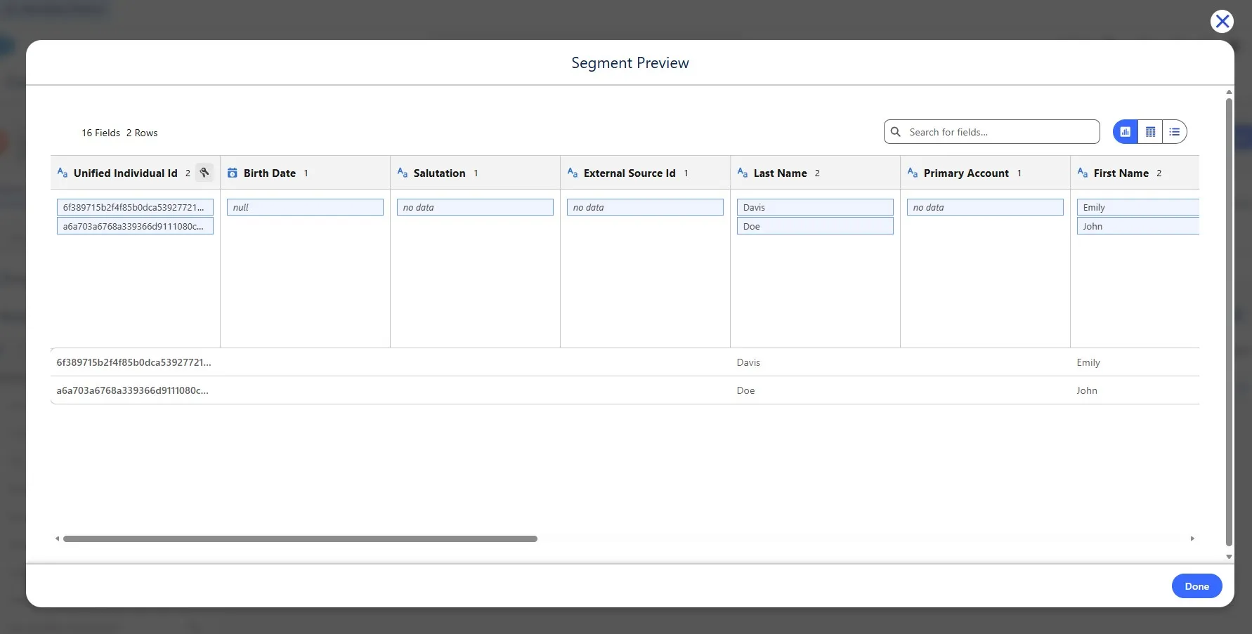 Segment Preview panel showing sample records