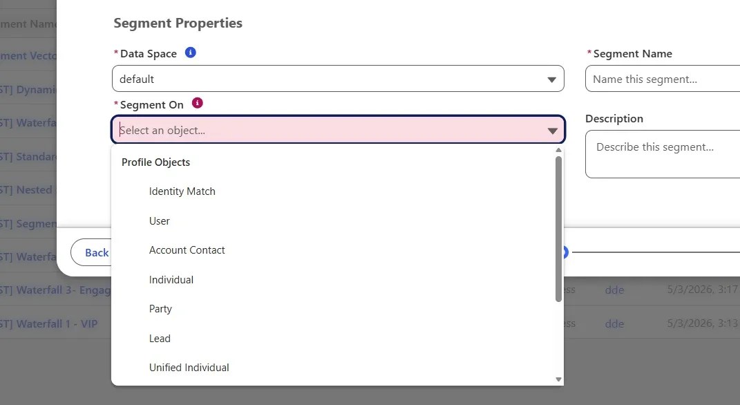 Segment On profile objects β Unified and non-unified DMO options